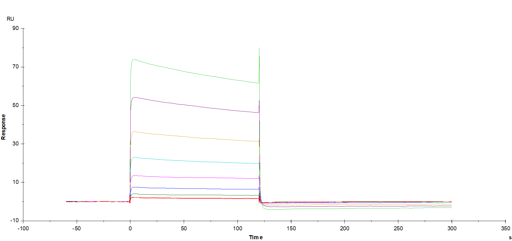 IgG1 Fc Protein, Human