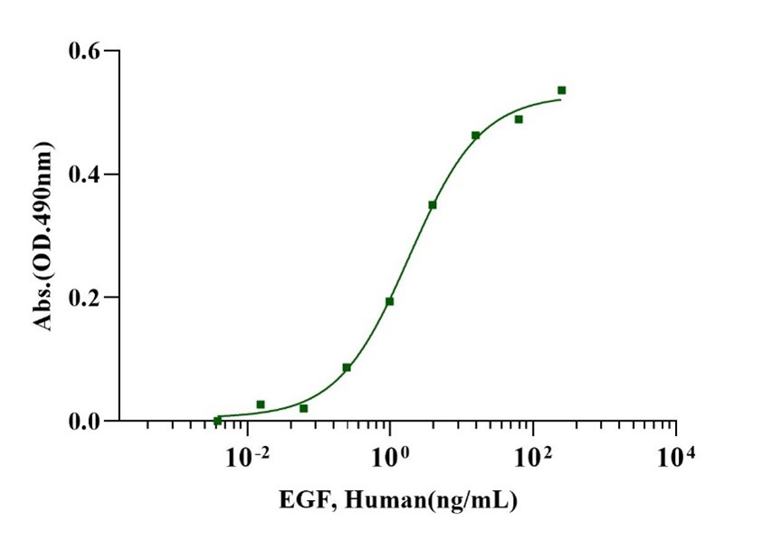 EGF Protein, Human