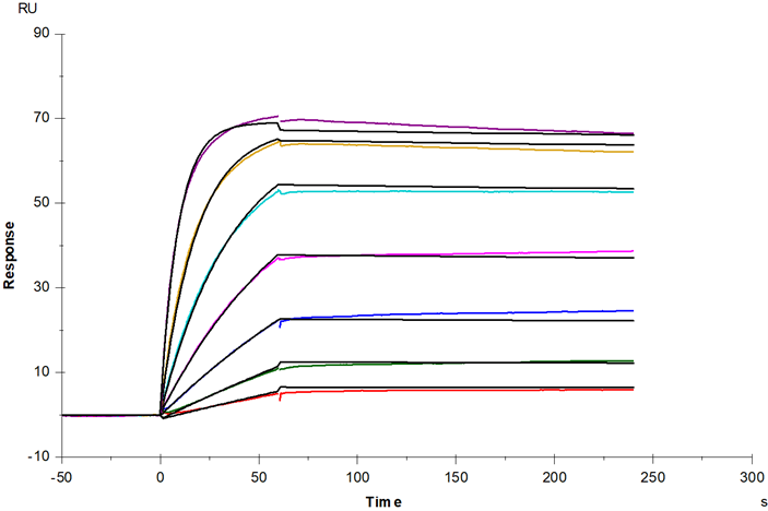 Recombinant Human TNF-α Protein