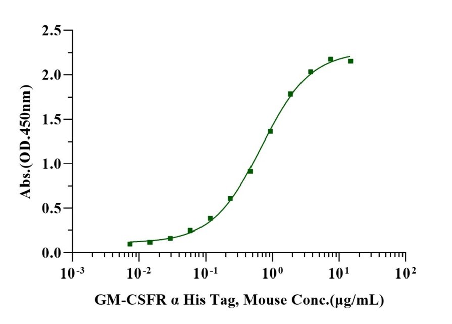 Recombinant Mouse GM-CSF Protein