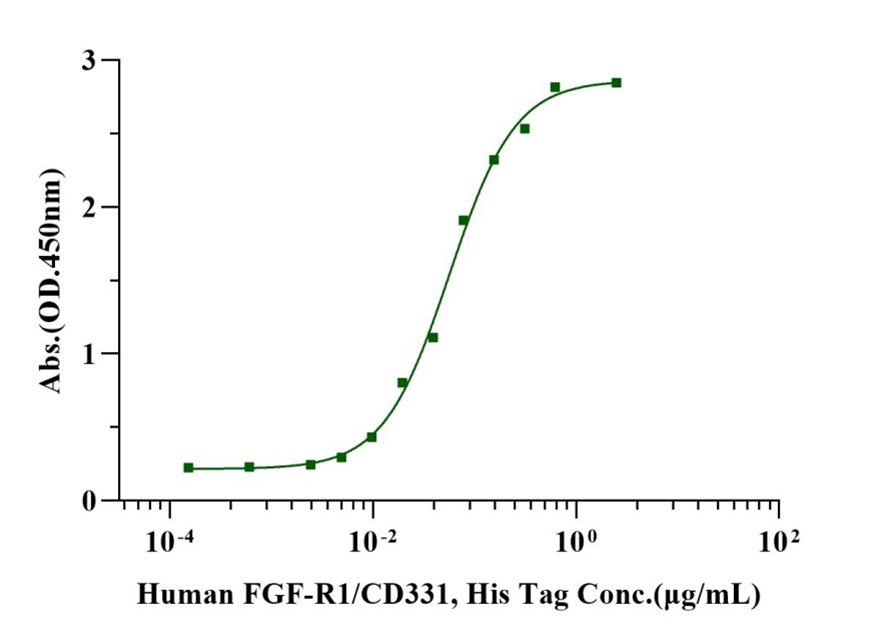 Recombinant Human FGF-basic (154aa) Protein